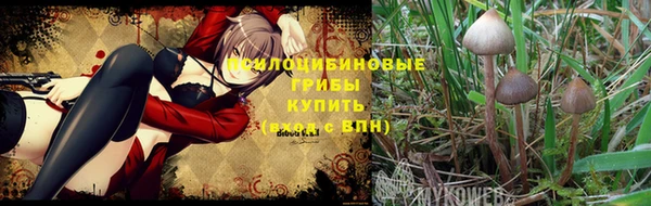 ALPHA PVP Елизово