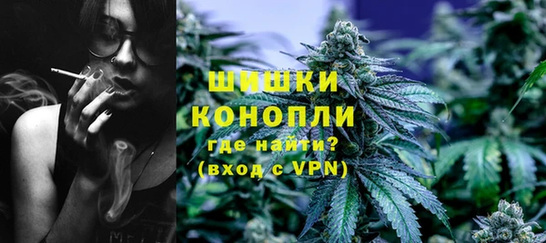 ALPHA PVP Елизово