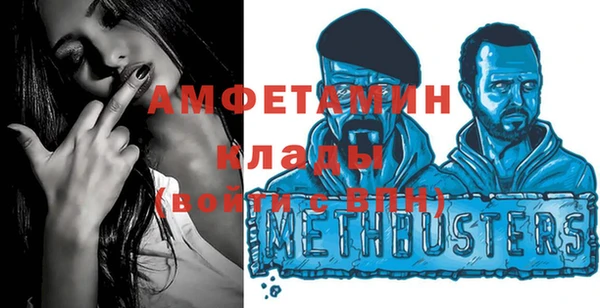 экстази Ельня