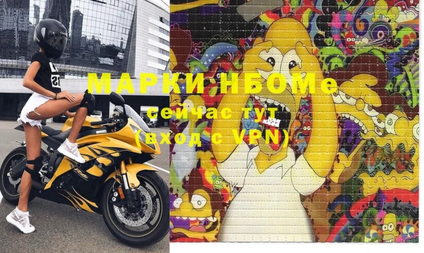 гашик Осинники