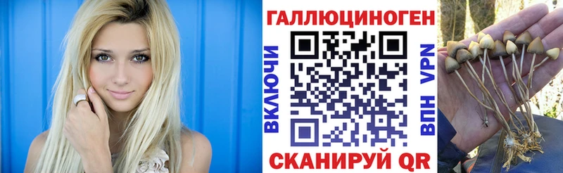 Галлюциногенные грибы ЛСД Зубцов
